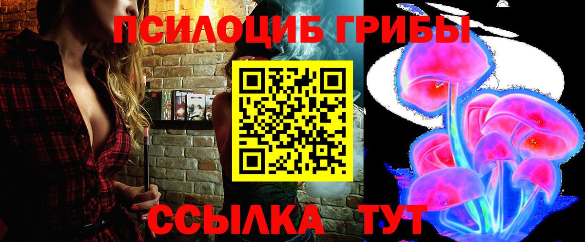 Псилоцибиновые грибы Psilocybine cubensis  Вход с VPN  Свободный 